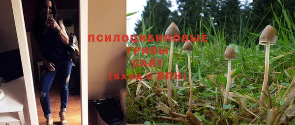 индика Пролетарск
