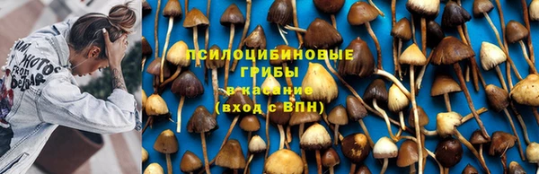 гашик Балабаново