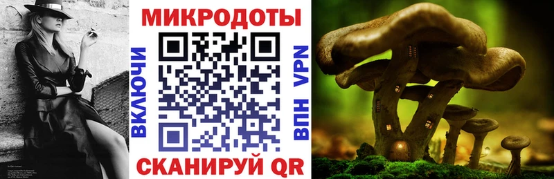 гидра ссылки  где можно купить наркотик  Ступино  Псилоцибиновые грибы Magic Shrooms 